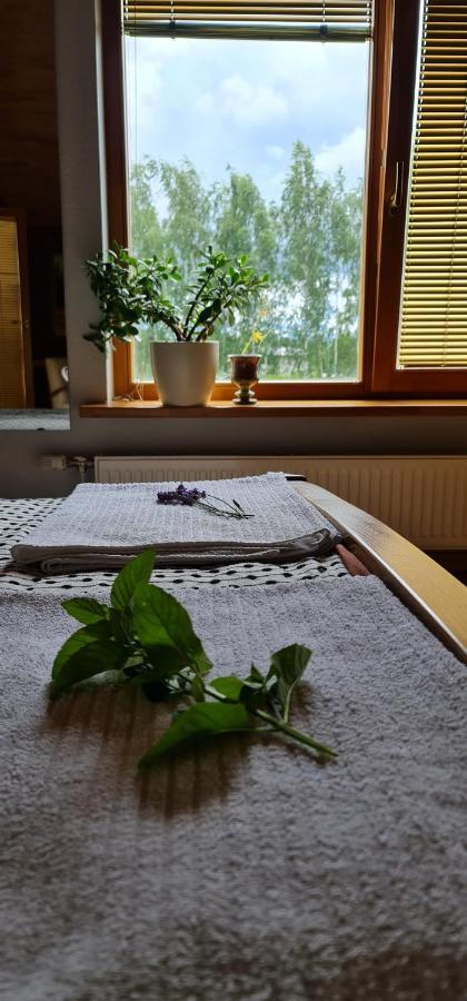 Spacious House With Indoor Pool & Sauna. Ādaži Exterior foto